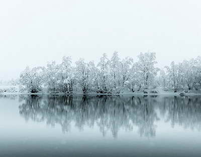 Жұлдыздар таңдау жасады: Алматыдағы танымал тұлғалар референдумға қатысты