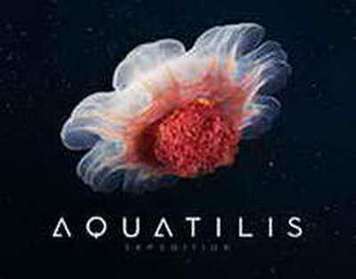 «Головка органа почернела»: обрезание в частной клинике Алматы закончилось для мальчика некрозом